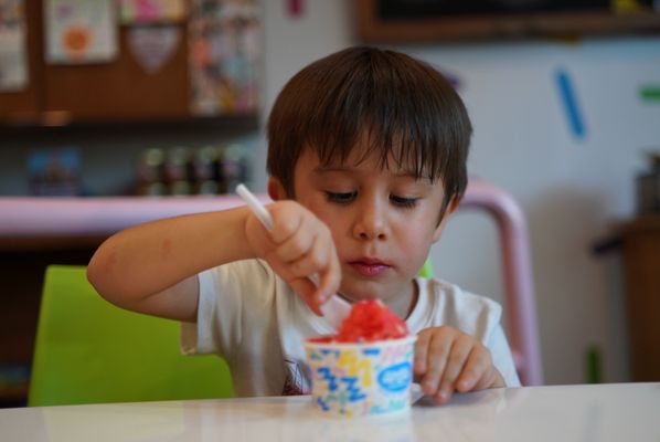 The Arboretum by null