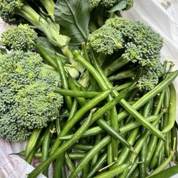 Brookfield Farmers Market