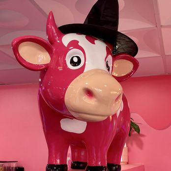 Elite Experience: Gelato Sweetspot - Yelp Events Near Me - Poway, California