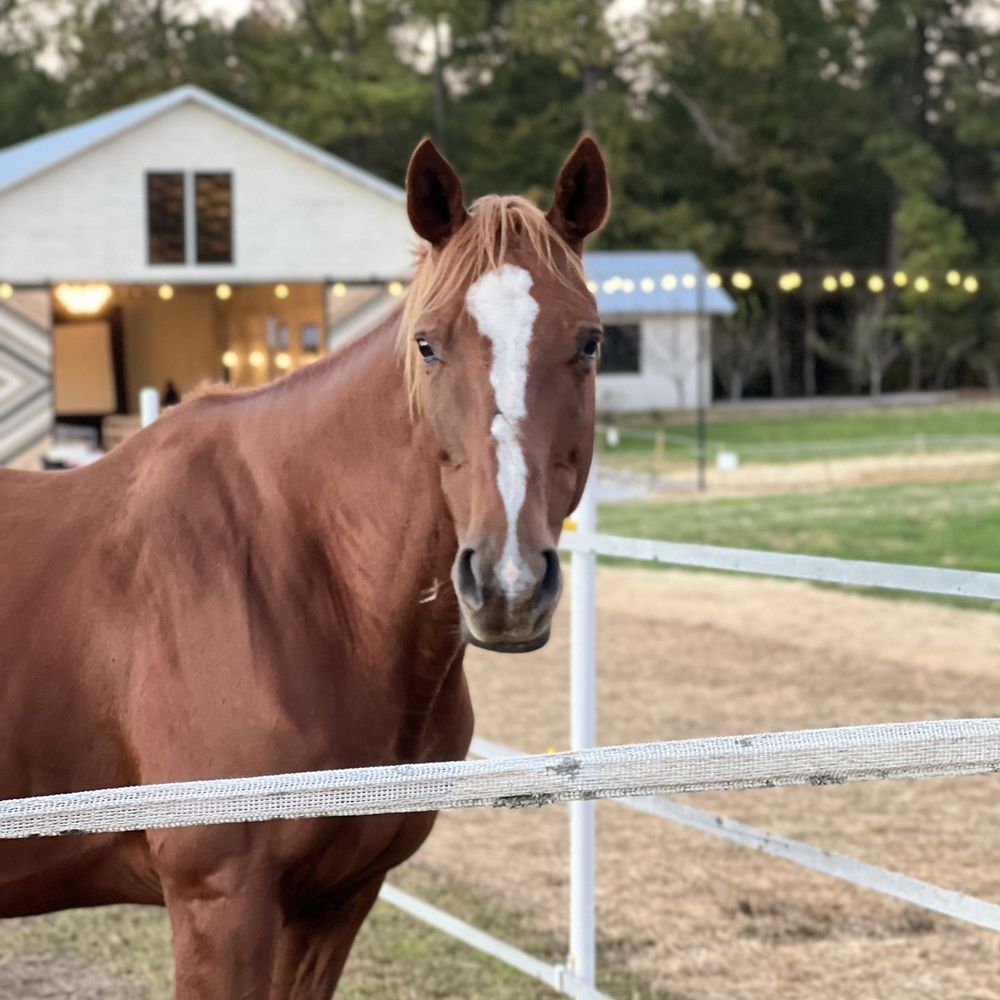 Haven Farm - Venues & Event Spaces Near Me - Knightdale, North Carolina Haven Farm - Venues & Event Spaces Near Me - Knightdale, North Carolina