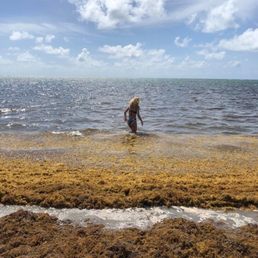 LOTS of seaweed when we visited, gross!