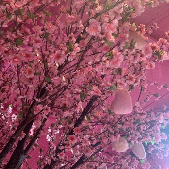 AMO Cafe - Beautiful tree inside - Coffee & Tea Near Me - El Paso, Texas