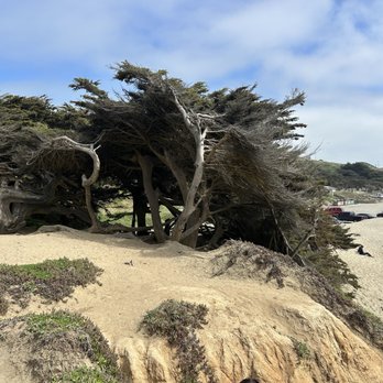 Dillon Beach - Beaches Near Me - Dillon Beach, California Dillon Beach - Beaches Near Me - Dillon Beach, California