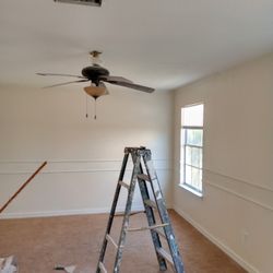 Idalia Painting and Projects