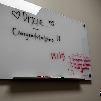 Hope Veterinary Oncology - Whiteboard where the plan is put into writing! - Veterinarians Near Me - Ventura, California Hope Veterinary Oncology - Whiteboard where the plan is put into writing! - Veterinarians Near Me - Ventura, California
