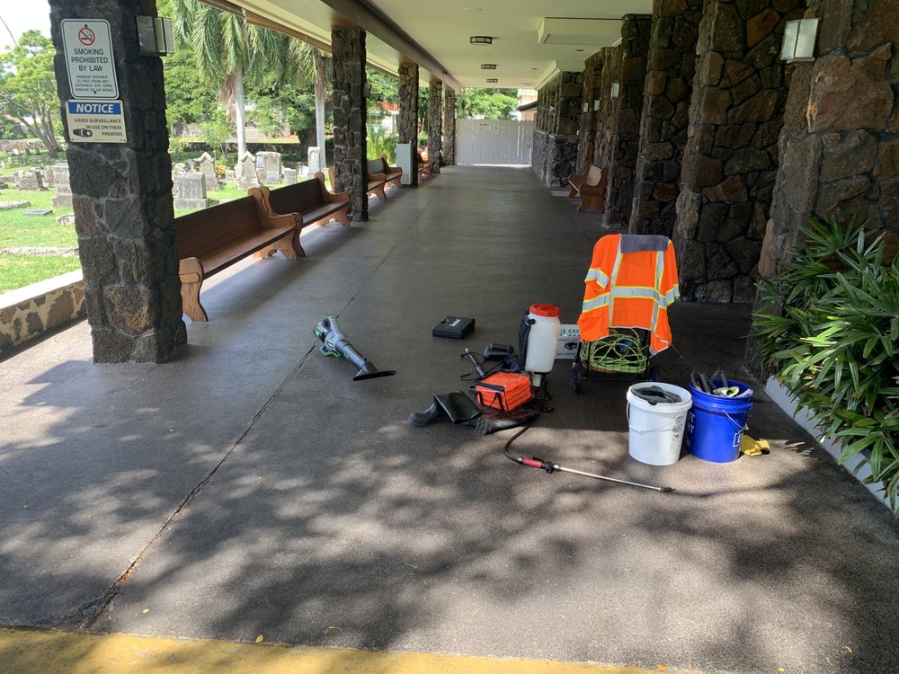 PRO CLEAN ELITE HAWAII Updated August 2024 48 Photos Urban