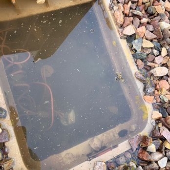 Scorpion Specialists - Sprinkler box. Attracts mosquitoes and other pests. - Pest Control Near Me