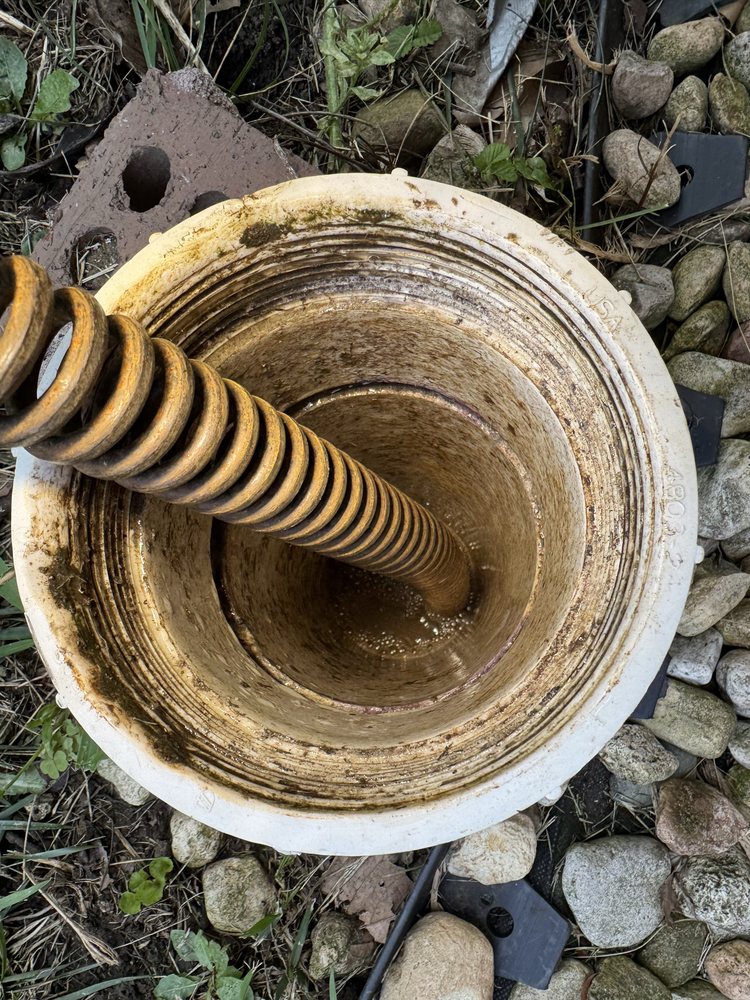 Slide of Root Busters