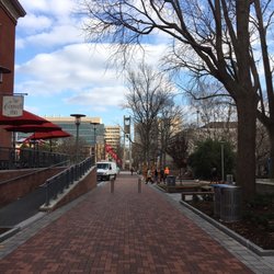 Temple University