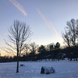 Anderson Park