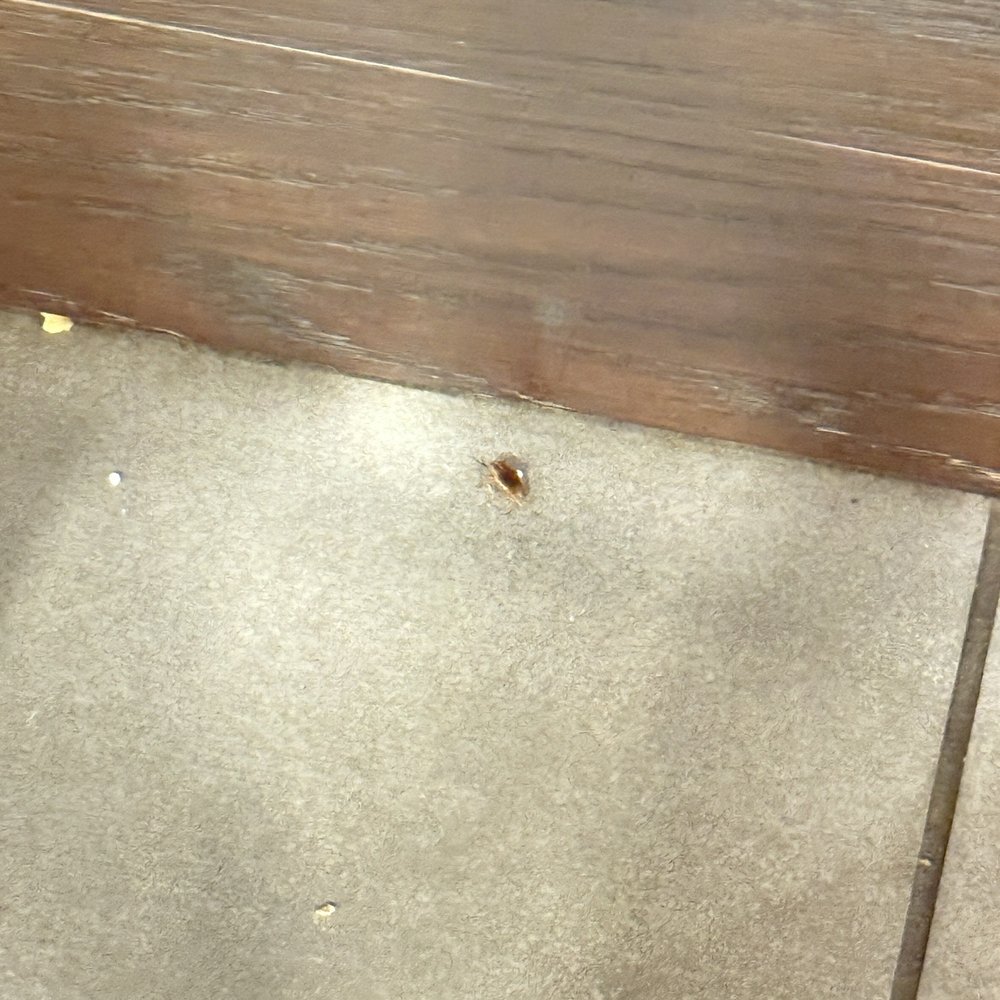 Johnny Rockets - Cockroach - Burgers Near Me - Tempe, Arizona