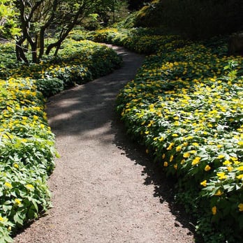 Botaniska Trädgården - Path - Botanical Gardens Near Me - Göteborg, O