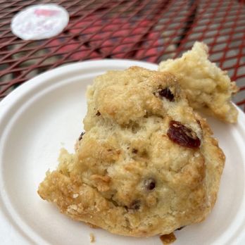 Java by the Bay - a sconette on a paper plate - A muffin with dried fruit pieces on a white disposable plate, placed on a red metal outdoor table. - Coffee & Tea Near Me - Havre De Grace, Maryland
