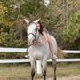 Photo of Yorktown Stables