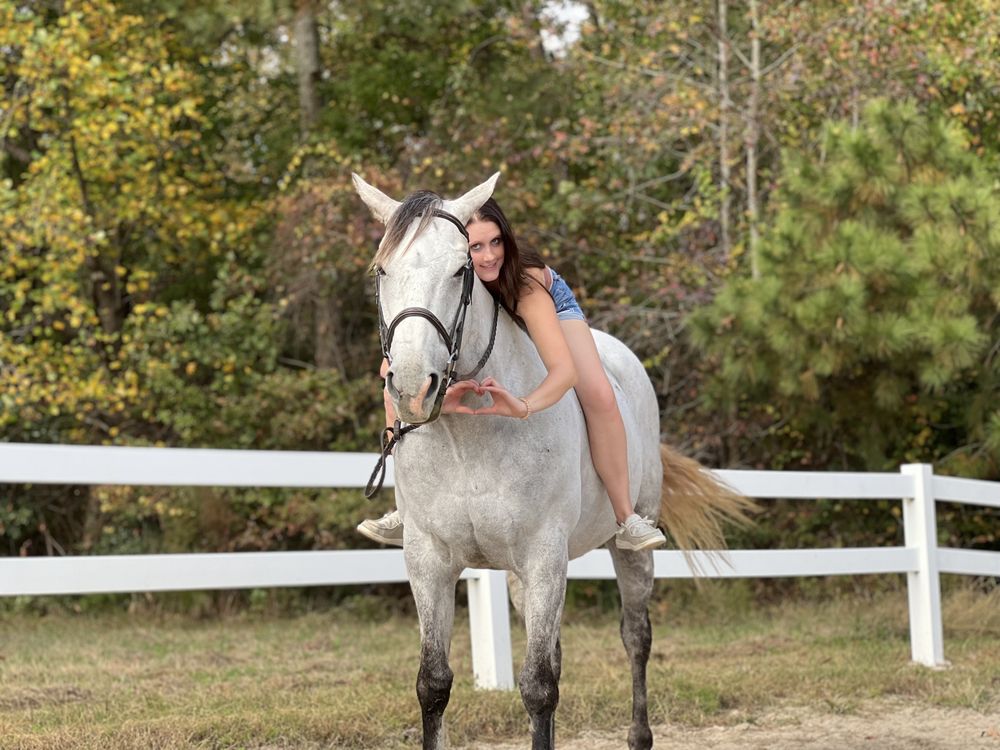 Yorktown Stables - equestrian in Seaford, VA