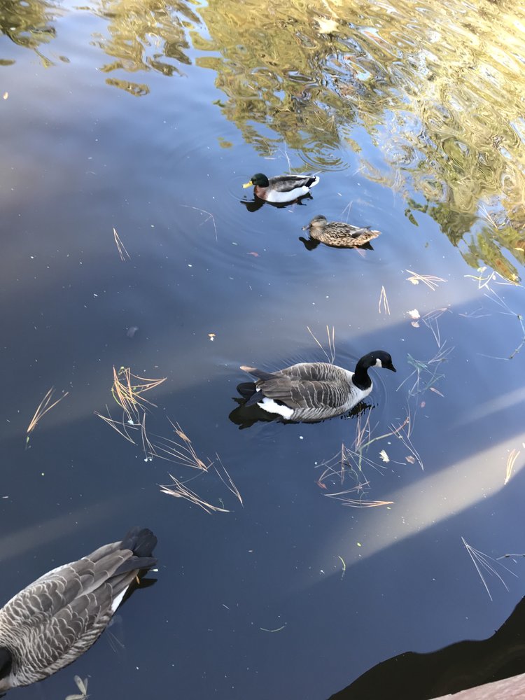 Beautiful Beginnings Learning Center - childcare center in Wilmington, NC