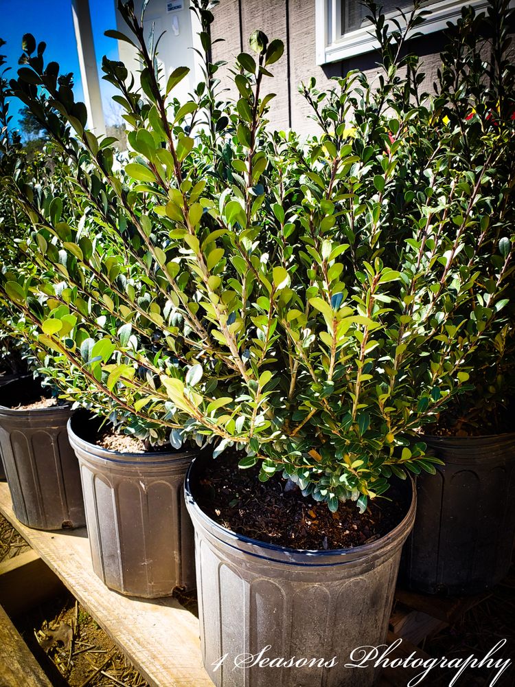 DEADWOOD RECLAIMED MATERIALS 2862 Cedar Creek Rd, Youngsville, North