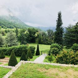 Provence Trips