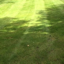Choice Grounds Care