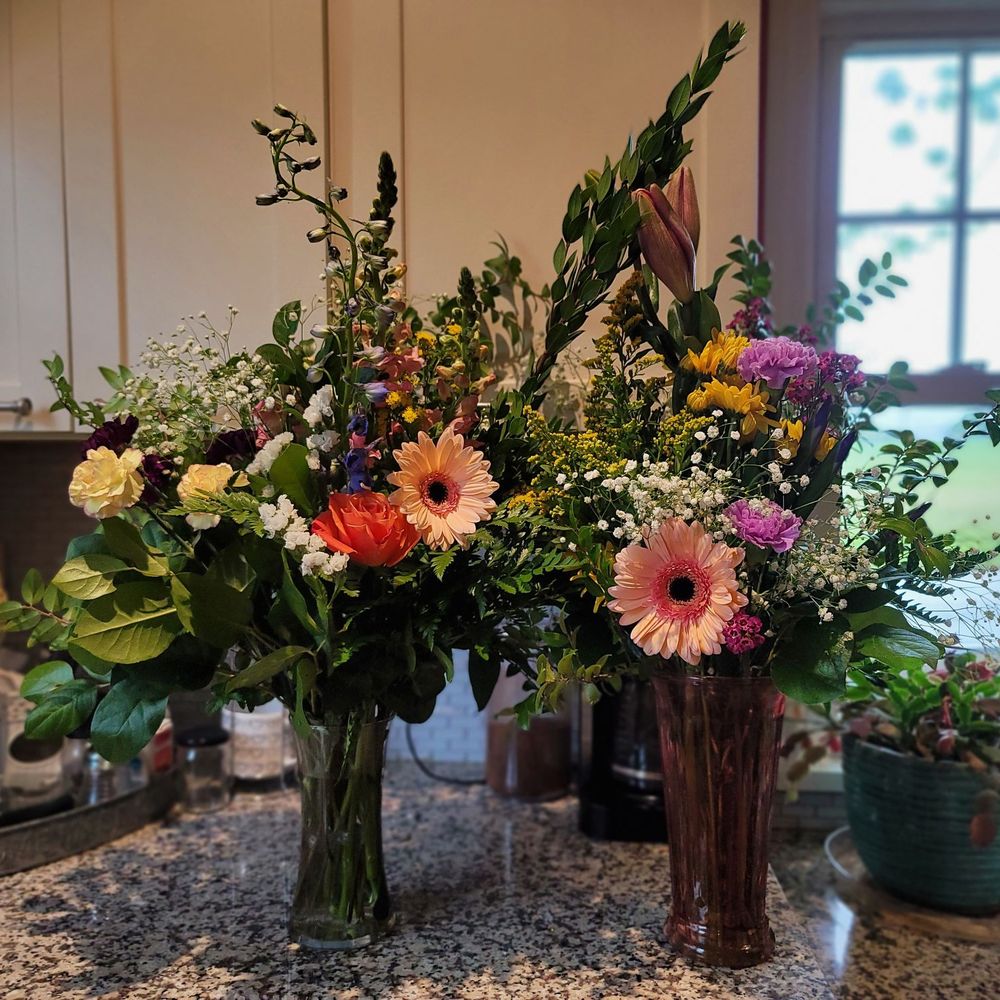 Flowers Albion Pa Best Flower Site