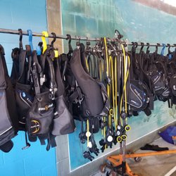 Aqua Hut - BCDs and octopuses neatly hung up next to the scuba pool.