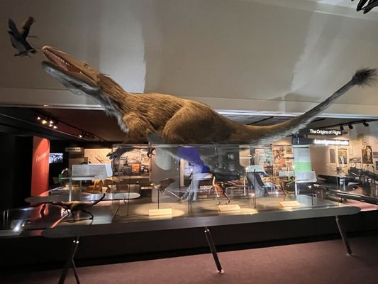 Phillip & Patricia Frost Museum of Science by null Phillip & Patricia Frost Museum of Science by null