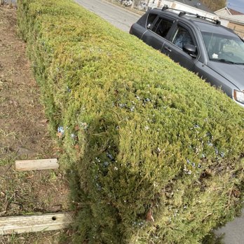 Valencia Lawn Care - Tree trimmer - Lawn Services Near Me - West Pasco, Washington Valencia Lawn Care - Tree trimmer - Lawn Services Near Me - West Pasco, Washington