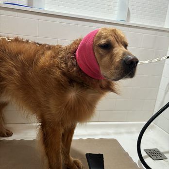 Barkys Bathtime - Pet Groomers Near Me - Rancho Cucamonga, California