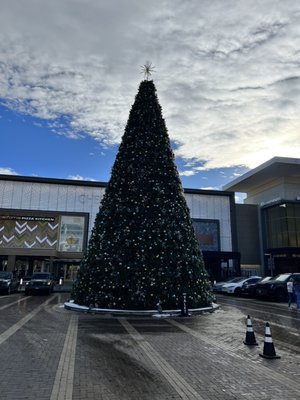 Cherry Creek Shopping Center by null