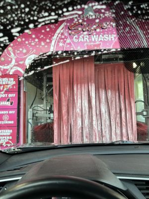 Elephant Car Wash by null