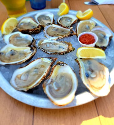 Carr's Oyster Bar by null