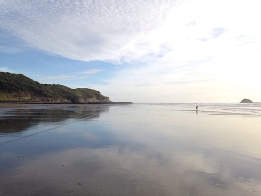 Muriwai by null