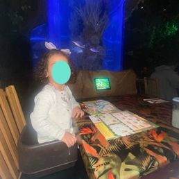 Seated by aquarium