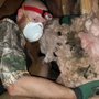 Photo of River Valley Wildlife Specialists