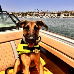 Co-Captain Murphy