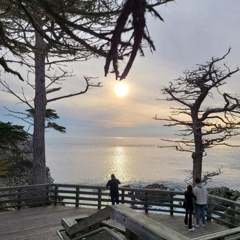 The Lone Cypress - Landmarks & Historical Buildings Near Me - Del Monte Forest, California