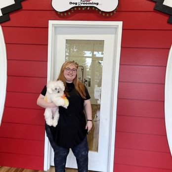 The Wow Factor Dog Grooming - Laure the wonderful groomer! - Pet Groomers Near Me - Charlotte, North Carolina The Wow Factor Dog Grooming - Laure the wonderful groomer! - Pet Groomers Near Me - Charlotte, North Carolina