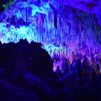 Florida Caverns State Park - Parks Near Me - Marianna, Florida Florida Caverns State Park - Parks Near Me - Marianna, Florida