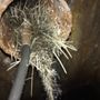 Photo of Pre Paid Plumbing