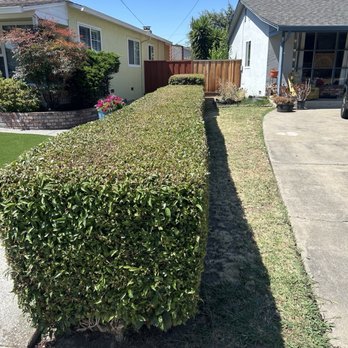Eleazars Landscaping - Landscaping Near Me - San Leandro, California Eleazars Landscaping - Landscaping Near Me - San Leandro, California