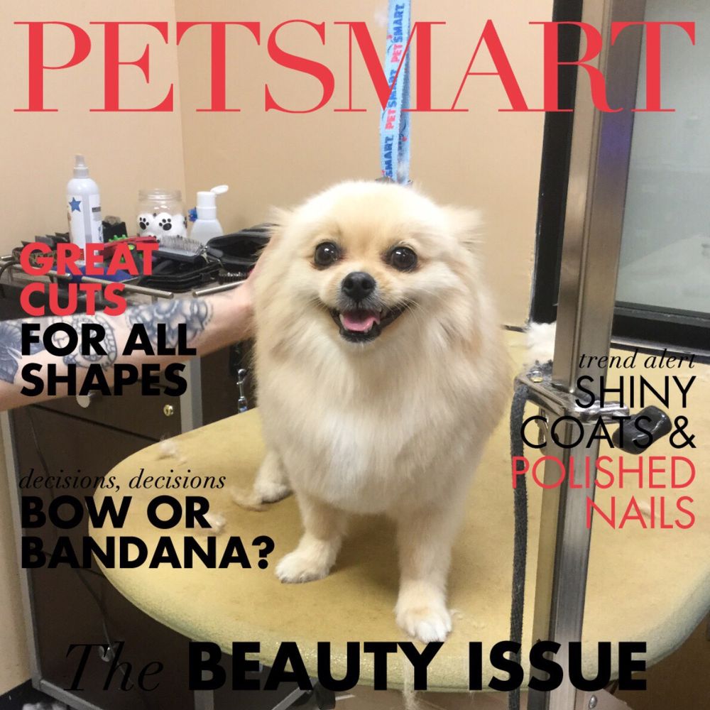 PetSmart - Pet Stores Near Me - Rancho Cucamonga, California PetSmart - Pet Stores Near Me - Rancho Cucamonga, California