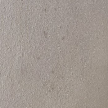 Polynesian Resort - Mold on bathroom wall - Hotels Near Me - Ocean Shores, Washington Polynesian Resort - Mold on bathroom wall - Hotels Near Me - Ocean Shores, Washington