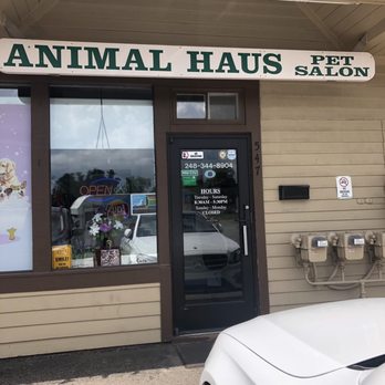 Animal Haus - Pet Groomers Near Me - Northville, Michigan