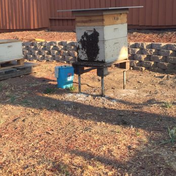 Bee Friendly Honey Bee Management Solutions - Our bee box before removal. - Pest Control Near Me - Morgan Hill, California Bee Friendly Honey Bee Management Solutions - Our bee box before removal. - Pest Control Near Me - Morgan Hill, California