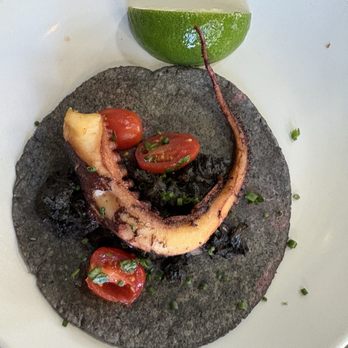 Holbox - Octopus taco - Latin American Near Me - Los Angeles, California