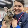 Richmond Avenue Animal Hospital