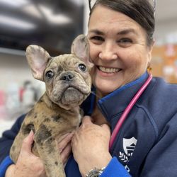 Richmond Avenue Animal Hospital