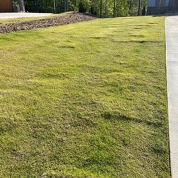 Cedar Ridge Landscaping - a view of the front yard of a home - Landscaping Near Me - Roebuck, South Carolina