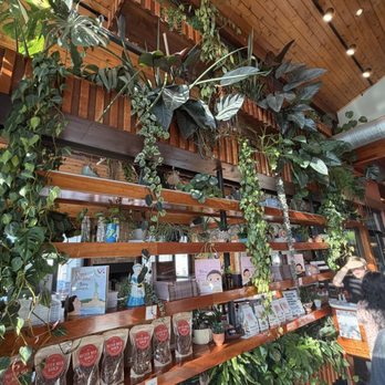The Butter Milk Ranch - Beautiful plants everywhere - Breakfast & Brunch Near Me - Nashville, Tennessee The Butter Milk Ranch - Beautiful plants everywhere - Breakfast & Brunch Near Me - Nashville, Tennessee