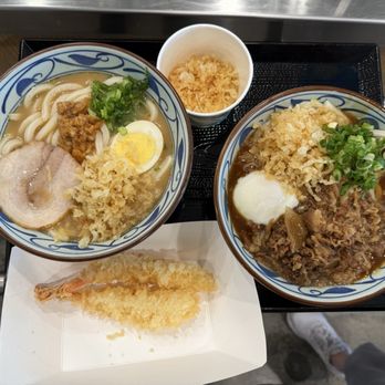Marugame Udon - Tonkotsu, Curry Nikutama, Shrimp, Extra Tempura Flakes - Japanese Near Me - Alameda, California Marugame Udon - Tonkotsu, Curry Nikutama, Shrimp, Extra Tempura Flakes - Japanese Near Me - Alameda, California